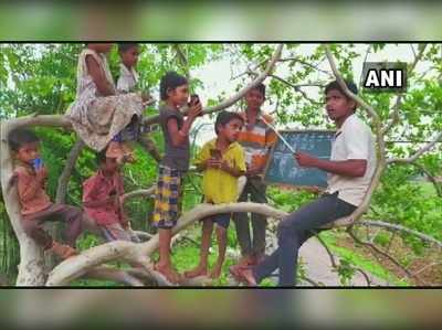 ಆನ್‌ಲೈನ್‌ ಪಾಠ ಕೇಳಲು ನೆಟ್‌ವರ್ಕ್‌ ಇಲ್ಲದೆ ಮರವೇರಿದ ಪುಟ್ಟ ಮಕ್ಕಳು..!