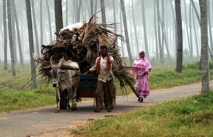 ಬದುಕು ಜಟಕಾ ಬಂಡಿ