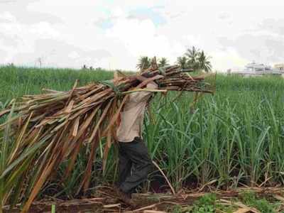 கரும்பு விவசாயிகளுக்கு ஹேப்பி நியூஸ்!