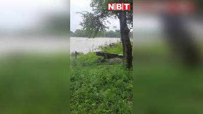 शिवपुरी में भारी बारिश से पचावली पुल डूबा, अशोकनगर जिले से टूटा संपर्क