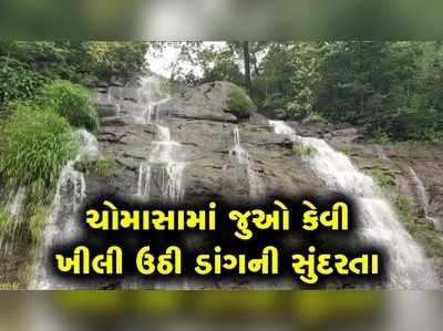 ચોમાસામાં સોળે કળાએ ખીલી ઉઠી ડાંગની સુંદરતા, જોઈને મન ખુશ ખુશ થઈ જશે 