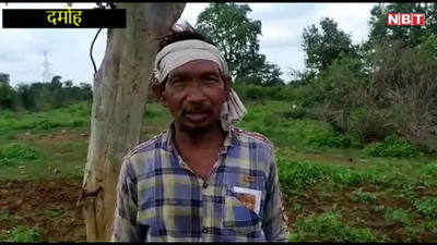 दमोहः खेत में बैल बनने को मजबूर गरीब आदिवासी, सरकार से की पट्टे की मांग