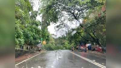 Jharkhand Weather Update: राजधानी रांची समेत कई जिलों में हुई तेज बारिश, मौसम विभाग ने जारी किया ऑरेंज अलर्ट