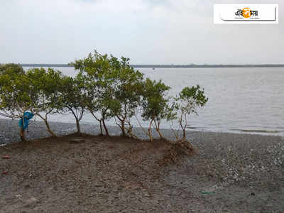 ঝড়-বৃষ্টি-কোটালের ত্রিফলা আক্রমণে ফের বিধ্বস্ত সুন্দরবন