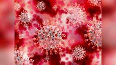 Covid 19 Safety :  कोरोना वायरस से बचाव के लिए इस्तेमाल करें ये Disinfectant Sanitizer Spray, सिर्फ Amazon पर उपलब्ध