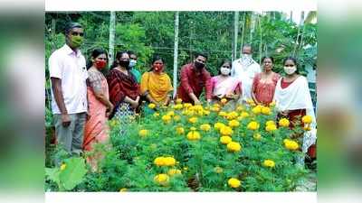 ഓണത്തിന് മറുനാടൻ വേണ്ട; ചെണ്ടുമല്ലി പൂക്കളുടെ മനോഹാരിതയിൽ ചേന്ദമംഗലം