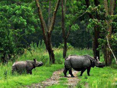 भिमाशंकर इको सेन्सेटिव्ह झोनला विरोध