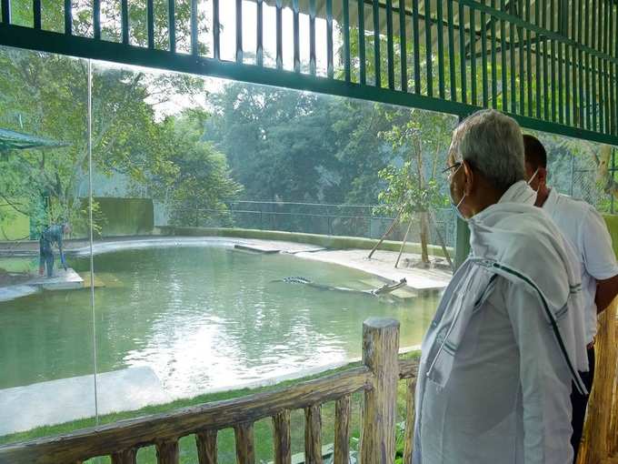 संजय गांधी जैविक उद्यान में घड़ियाल को निहारते सीएम नीतीश
