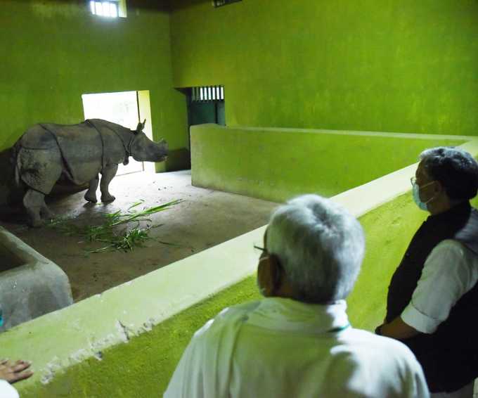 संजय गांधी जैविक उद्यान में गैंडा देखते CM नीतीश और सुशील मोदी