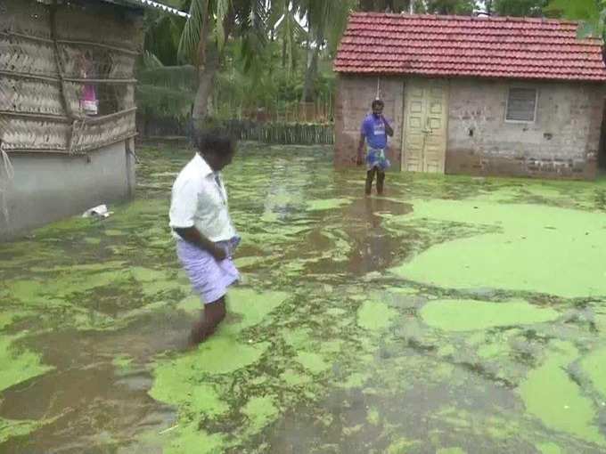 வாரி வழங்கிய பருவமழை