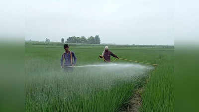 Shahjahanpur News: किसानों के हक पर डालते थे डाका, 6 खाद व्यापारियों पर एफआईआर दर्ज
