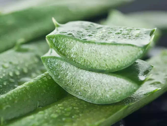 ​ಅಲೋವೆರಾ ಮತ್ತು ಗ್ಲಿಸರಿನ್