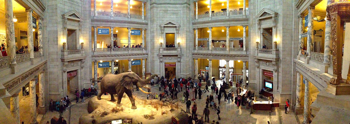 ​07.அமெரிக்கா, இயற்கை மற்றும் வரலாற்று தேசிய அருங்காட்சியகம் (National Museum of Natural History)