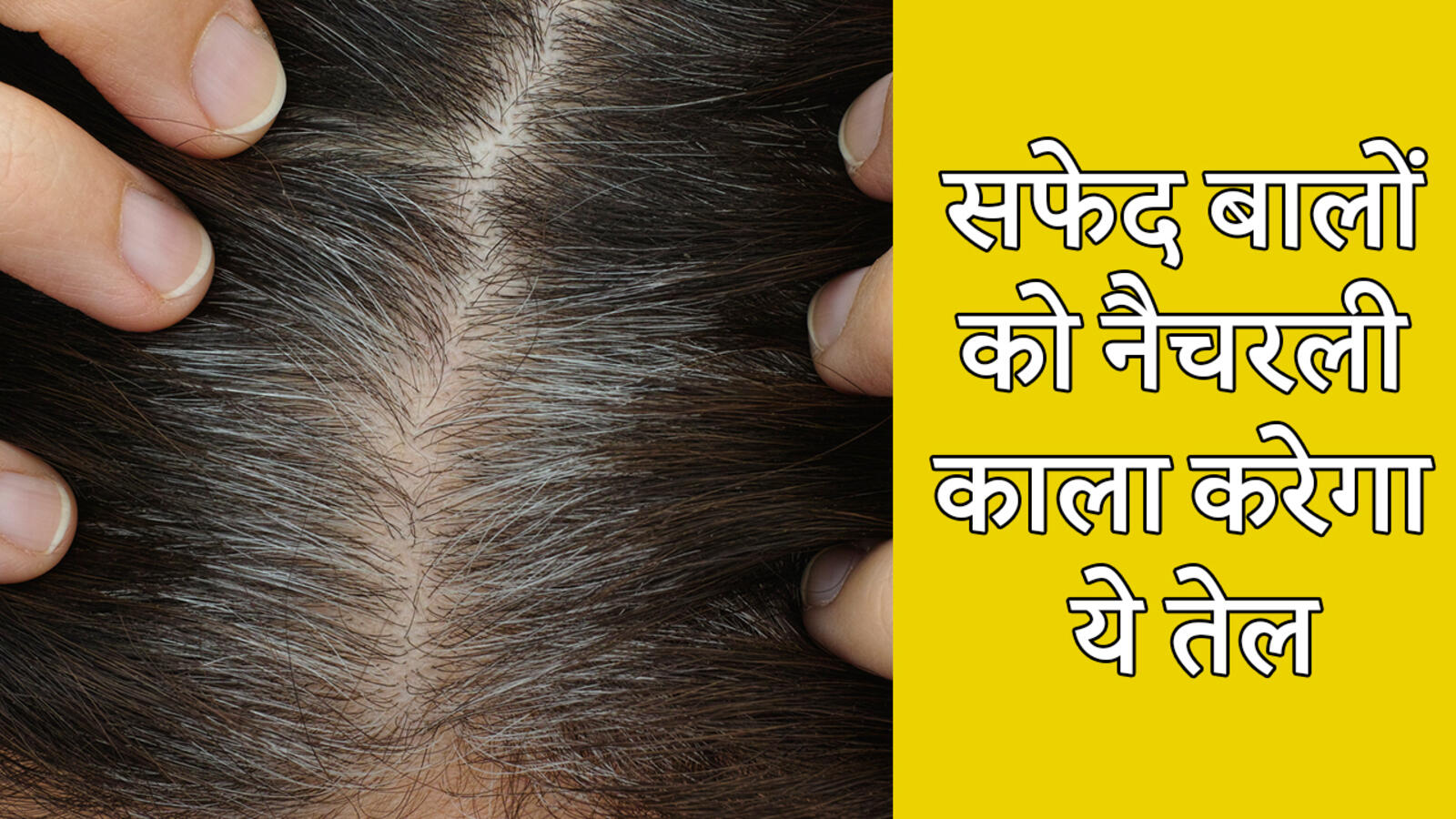 hair care tips, Hair care tips: उलझे और रूखे बालों को एक वॉश में बनाएं  सिल्की और स्मूद, फॉलो करें ये टिप्स - hair care tips to deal with frizzy  hair get