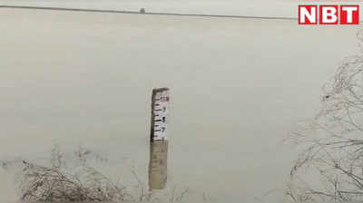 Ara Flood Update: आरा में बढ़ रहा गंगा का जलस्तर, कई गांवों पर मंडराया बाढ़ का खतरा