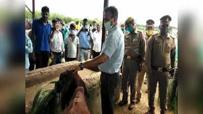 Bulandshahr News: डीएम ने गाय को खिलाया चारा तो बीजेपी विधायक ने खत्म किया धरना, 5 पर केस
