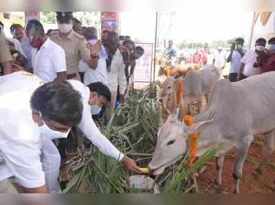 ಗೋ ಹತ್ಯೆ ಮಹಾಪಾಪ, ಗೋ ಹತ್ಯೆ ನಿಷೇಧಕ್ಕೆ ಸಿಎಂಗೆ ಮನವಿ: ಸಚಿವ ಸುಧಾಕರ್