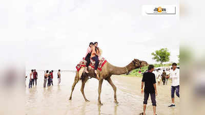 মরুভূমির মাঝে হঠাত্‍ সমুদ্র! রাজস্থানের মিনি গোয়ায় পর্যটকের ঢল