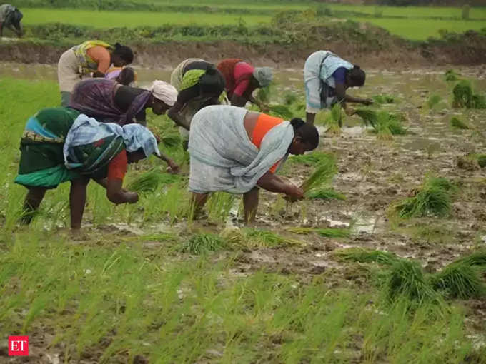 अन्नदाता ही बचा सुरक्षित, बाकी सबको नुकसान