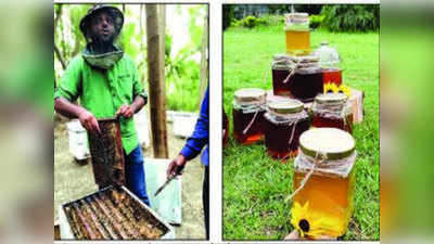 Uttar pradesh: युवक ने बीटेक के बाद मधुमक्खी पालन को बनाया स्टार्टअप