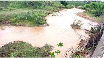 ಮಧುಗಿರಿ ತಾಲೂಕಿನ ಹಲವೆಡೆ ಧಾರಾಕಾರ ಮಳೆ, ಅನ್ನದಾತನ ಮೊಗದಲ್ಲಿ ಮೂಡಿತು ಮಂದಹಾಸದ ಕಳೆ..!