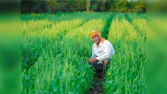 விவசாயிகளுக்கு வேலைவாய்ப்பு: தமிழகத்தில் நான்கு திட்டங்கள்!