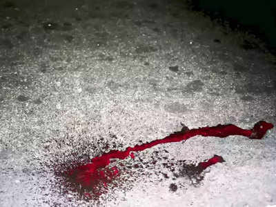 Nagpur Crime: कटरने गळा चिरून वर्गमित्राची हत्या; शिव्यांचा आला राग