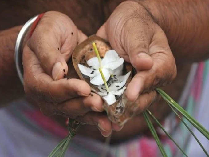 ​पितृपक्ष आणि अन्य धर्मियांतील मान्यता