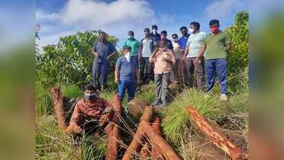 செம்மர கடத்தல்: திரைப் படத்தை மிஞ்சும் காட்சிகள், ஒருவர் கைது!