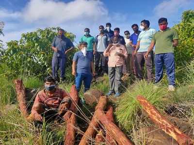 செம்மர கடத்தல்: திரைப் படத்தை மிஞ்சும் காட்சிகள், ஒருவர் கைது!