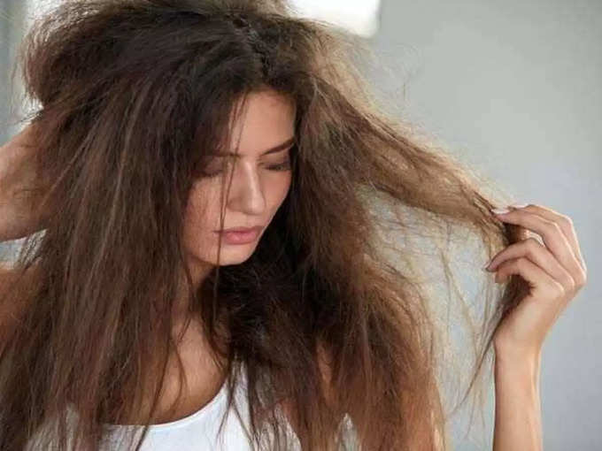 ​വരണ്ട മുടി (Dry hair)