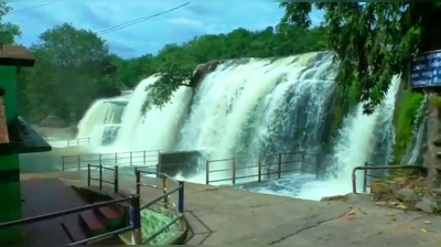 கோதையாற்றில் வெள்ளப்பெருக்கு... கொட்டீத் தீர்க்கும் திற்பரப்பு