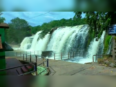 கோதையாற்றில் வெள்ளப்பெருக்கு... கொட்டீத் தீர்க்கும் திற்பரப்பு