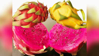 Reason To Eat Dragon Fruit: खाएं भी और खिलाएं भी, कोरोना और डेंगू से बचाने में सहायक है स्वादिष्ट ड्रैगन फ्रूट