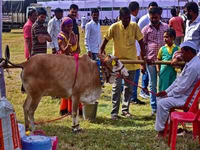 గోమూత్రంతో శానిటైజ‌ర్‌, రూమ్ క్లీనర్.. ఇవి సూపర్, త్వరలో మార్కెట్లోకి!