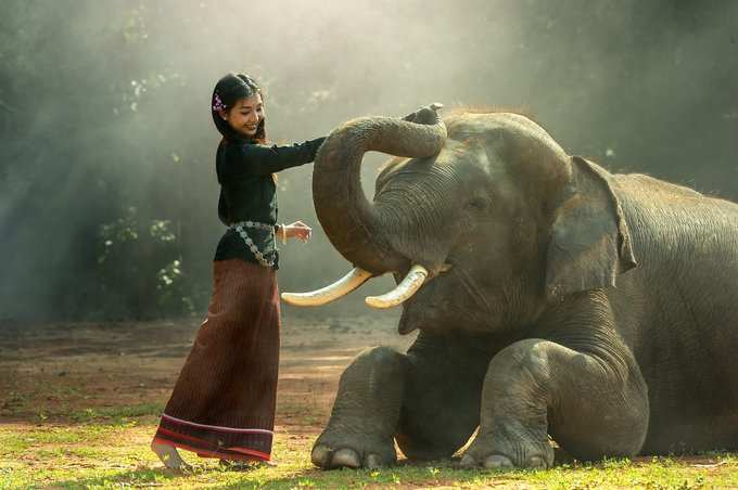 ​ಯಾವ ಪ್ರಾಣಿಗಳಿಗೆ ಆಹಾರ ನೀಡಬೇಕು..?