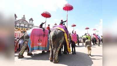 ಕೊರೊನಾ ಕರಿನೆರಳಲ್ಲಿ ದಸರೆ: ಶೀಘ್ರದಲ್ಲೇ ಮೈಸೂರಿಗೆ ಬರಲಿದೆ ಅಭಿಮನ್ಯು ಅಂಡ್ ಟೀಂ..!