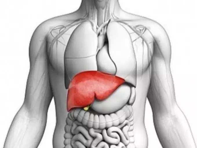 यकृत निरोगी ठेवतं व लठ्ठपणा रोखतं