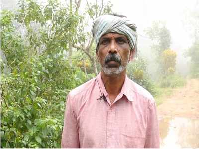 ഈ അവകാശം ഞങ്ങളുടെ അഭിമാനം; അധ്വാനിച്ച ഭൂമി സ്വന്തമാകുന്ന സന്തോഷത്തില്‍ ഉപ്പുകുന്ന് നിവാസികള്‍