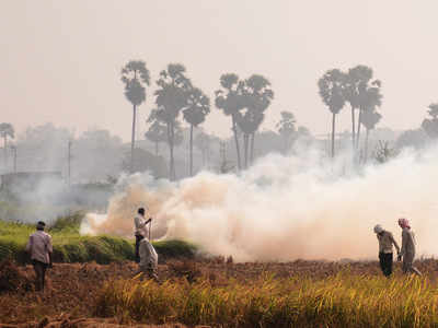 पराली के धुंए से दिल्ली को बचाने की तैयारियां शुरू