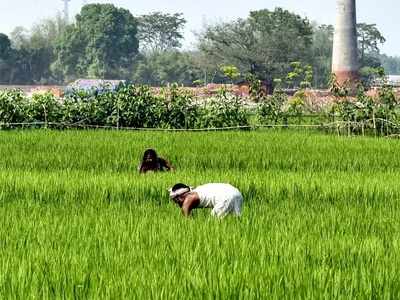 কৃষি সংস্কারে ৩ বিল আনল কেন্দ্র, প্রতিবাদে উত্তাল সংসদ