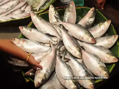 दुर्गा पूजा पर भारत को बांग्‍लादेश का तोहफा, 1475 टन हिलसा मछली का करेगा निर्यात
