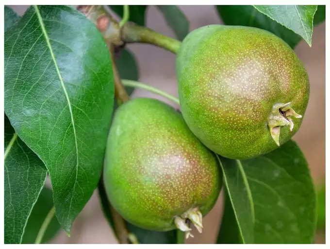 ​ಹೃದಯ ಸಂಬಂಧಿ ಆರೋಗ್ಯ ಸಮಸ್ಯೆಯನ್ನು ನಿವಾರಿಸುವುದು