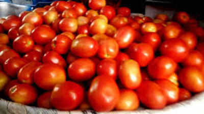 Tomato price: 100 रुपये पहुंचा टमाटर, जानिए आपके शहर में क्या है भाव