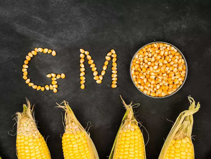 ​GMO (ಕುಲಾಂತರಿ) ಧಾನ್ಯಗಳಿಂದ ಉತ್ಪಾದಿಸಲಾಗುತ್ತದೆ