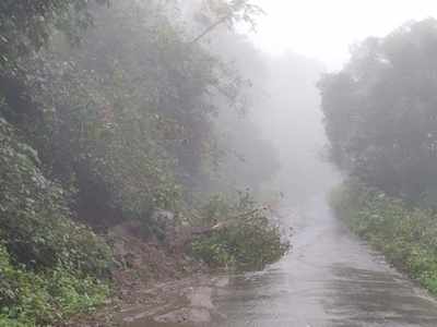 നെല്ലിയാമ്പതിയില്‍ റോഡിലേക്ക് മണ്ണിടിഞ്ഞു