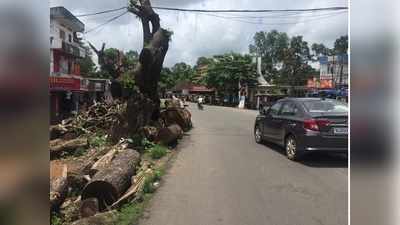 ആംബുലൻസുകൾ പായുന്ന വഴിയിൽ അപകടക്കെണിയൊരുങ്ങി മരത്തടികൾ; വെട്ടിയിട്ടത് പൊതുമരാമത്ത് വകുപ്പ്