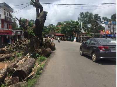 ആംബുലൻസുകൾ പായുന്ന വഴിയിൽ അപകടക്കെണിയൊരുങ്ങി മരത്തടികൾ; വെട്ടിയിട്ടത് പൊതുമരാമത്ത് വകുപ്പ്