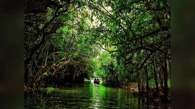 കേരളത്തിന്റെ സ്വന്തം വാട്ടര്‍ ടാക്‌സി വിളിക്കാം... കായല്‍ സൗന്ദര്യം ആസ്വദിക്കാം