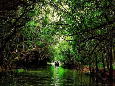 കേരളത്തിന്റെ സ്വന്തം വാട്ടര്‍ ടാക്‌സി വിളിക്കാം... കായല്‍ സൗന്ദര്യം ആസ്വദിക്കാം